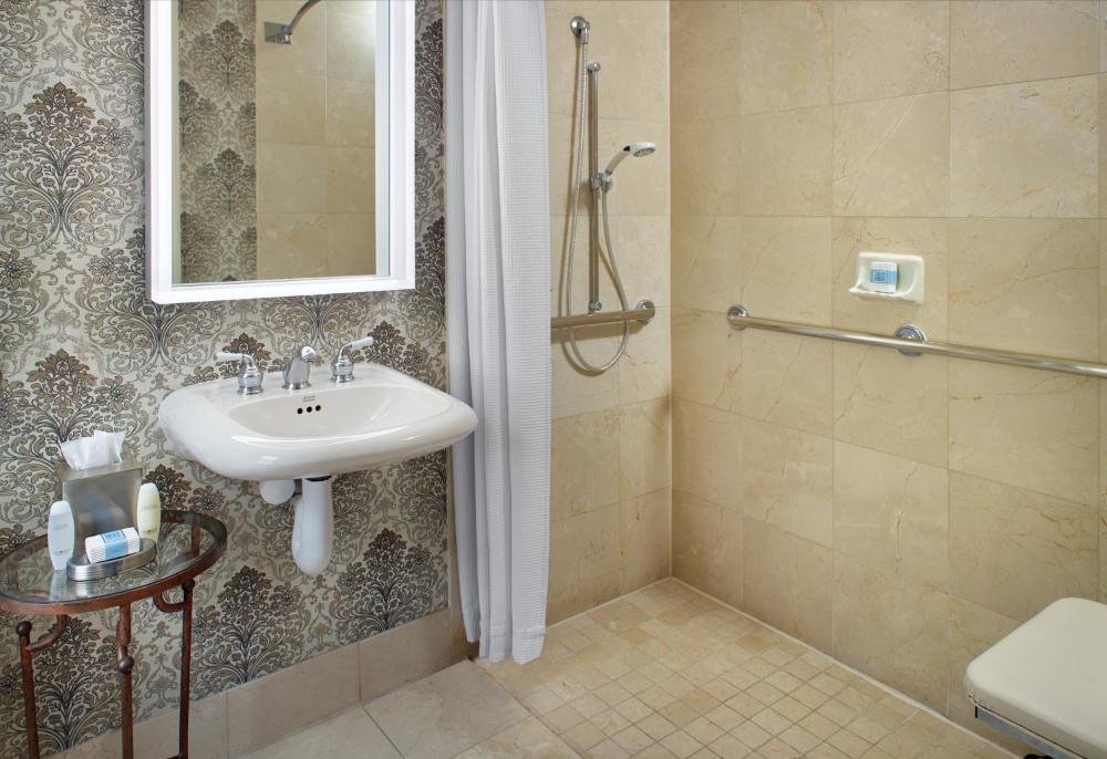 Accessible Traditional Room 1 King Bed with Roll-in Shower interior
